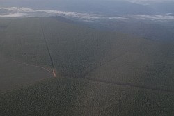 070917_021amazonia.JPG