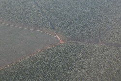 070917_022amazonia.JPG