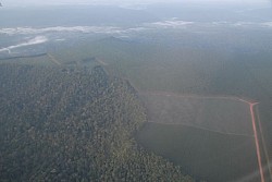 070917_025amazonia.JPG