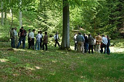 080516_095SILVA08.JPG