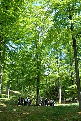 080516_096SILVA08.JPG
