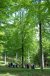 080516_100SILVA08.JPG