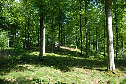 080516_107SILVA08.JPG