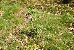 080516_108SILVA08.JPG