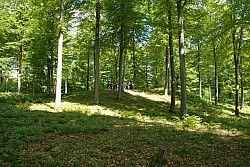 080516_109SILVA08.JPG