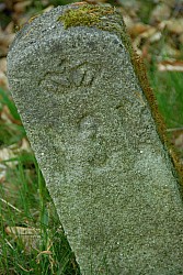 080516_110SILVA08.JPG