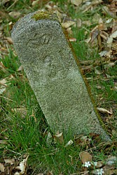 080516_111SILVA08.JPG