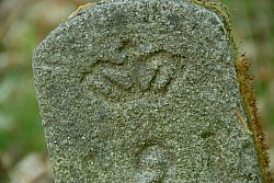 080516_112SILVA08.JPG