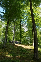 080516_113SILVA08.JPG