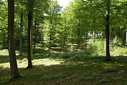 080516_115SILVA08.JPG