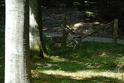 080516_138SILVA08.JPG