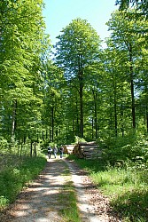 080516_153SILVA08.JPG