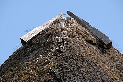 080516_157SILVA08.JPG