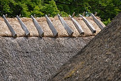 080516_158SILVA08.JPG