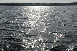 080516_221SILVA08.JPG
