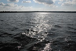 080516_222SILVA08.JPG