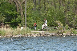 080516_225SILVA08.JPG