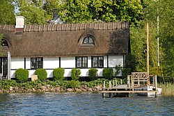 080516_246SILVA08.JPG