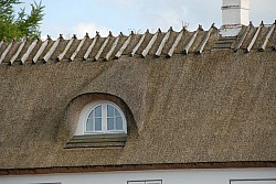 080516_250SILVA08.JPG