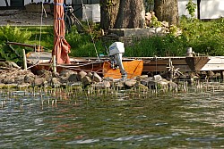 080516_251SILVA08.JPG