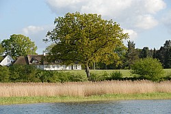 080516_258SILVA08.JPG