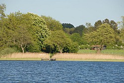 080516_263SILVA08.JPG