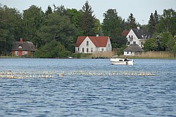 080516_273SILVA08.JPG