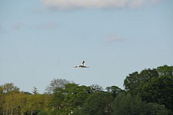 080516_277SILVA08.JPG