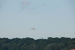 080516_278SILVA08.JPG