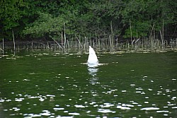 080516_281SILVA08.JPG
