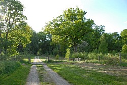 080516_299SILVA08.JPG