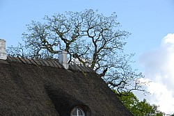 080516_324SILVA08.JPG