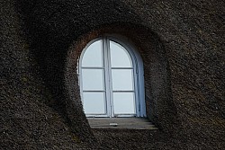 080516_326SILVA08.JPG