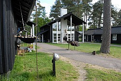 080517_008.JPG
