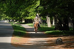 080517_015.JPG
