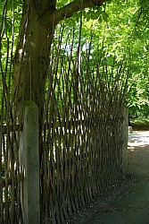 080517_017.JPG