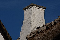 080517_022.JPG