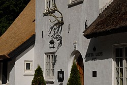 080517_024.JPG
