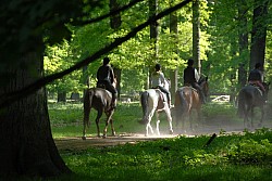 080517_031.JPG