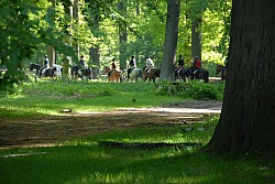 080517_032.JPG