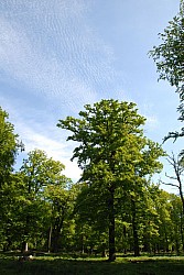 080517_033.JPG