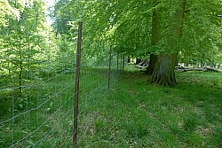 080517_037.JPG