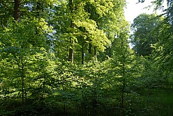 080517_038.JPG