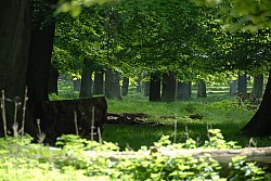 080517_045.JPG