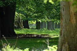 080517_048.JPG