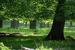 080517_049.JPG