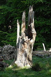 080517_056.JPG