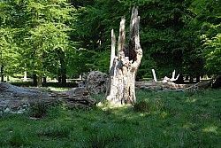 080517_057.JPG