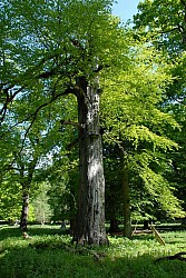 080517_059.JPG