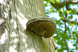 080517_062.JPG